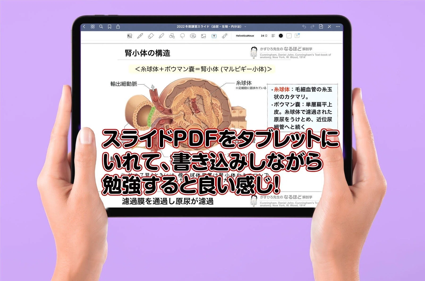 図説臨床形成外科講座6 整容、体幹、泌尿・生殖器、下肢 図説臨床形成外科講座6 整容、体幹、泌尿・生殖器、下肢 形成外科 2023
