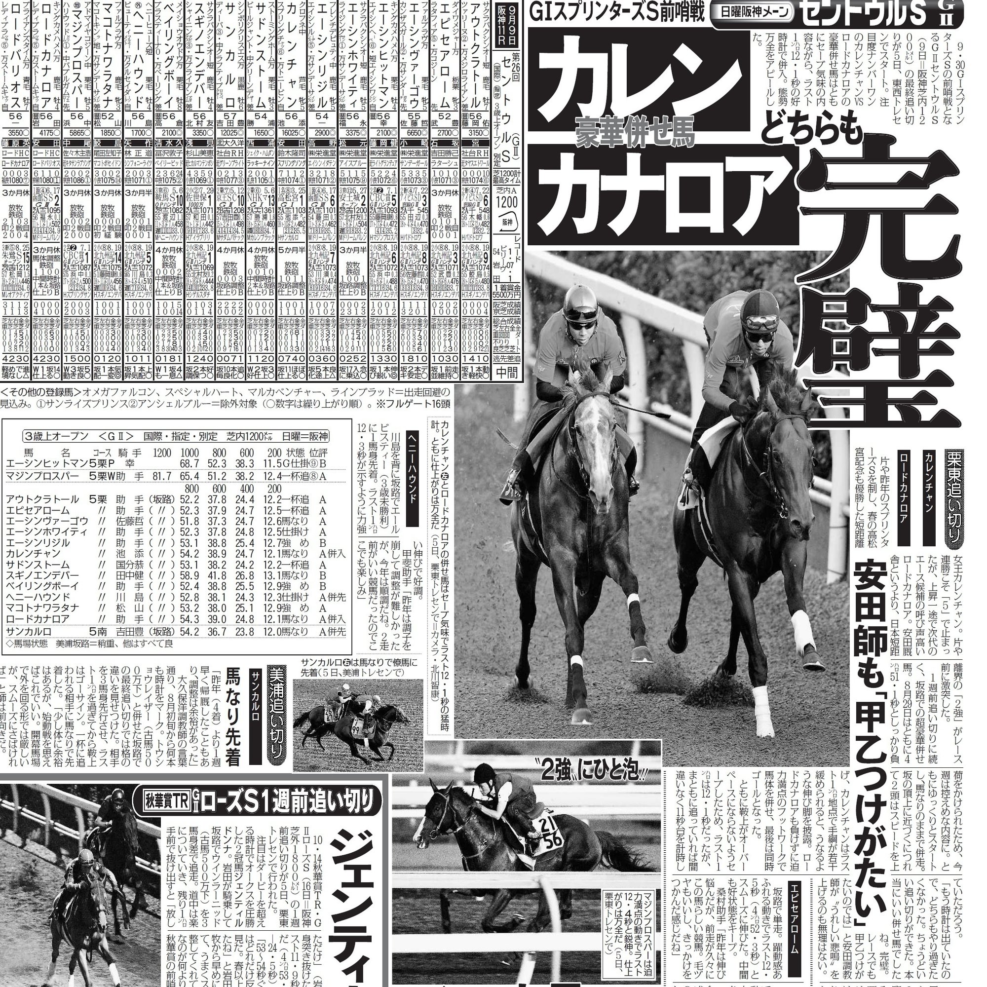 競馬 ベスト ロードカナロア 関係者限定品 （一攫千金も夢じゃない  