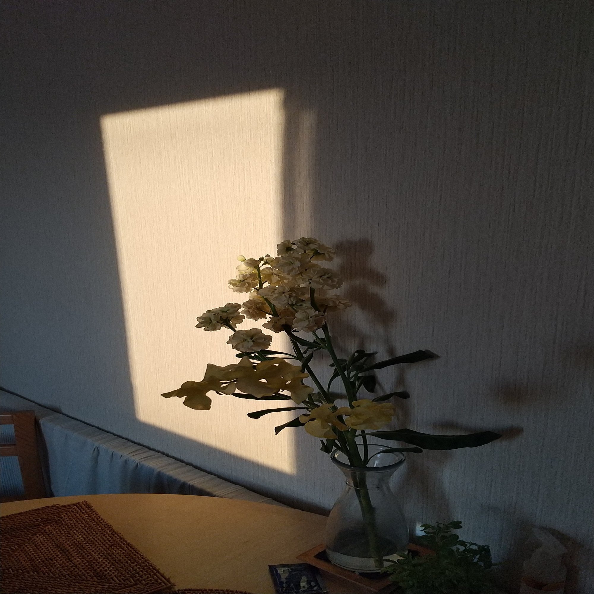 夢を砕く仕事 Maniguruma Note