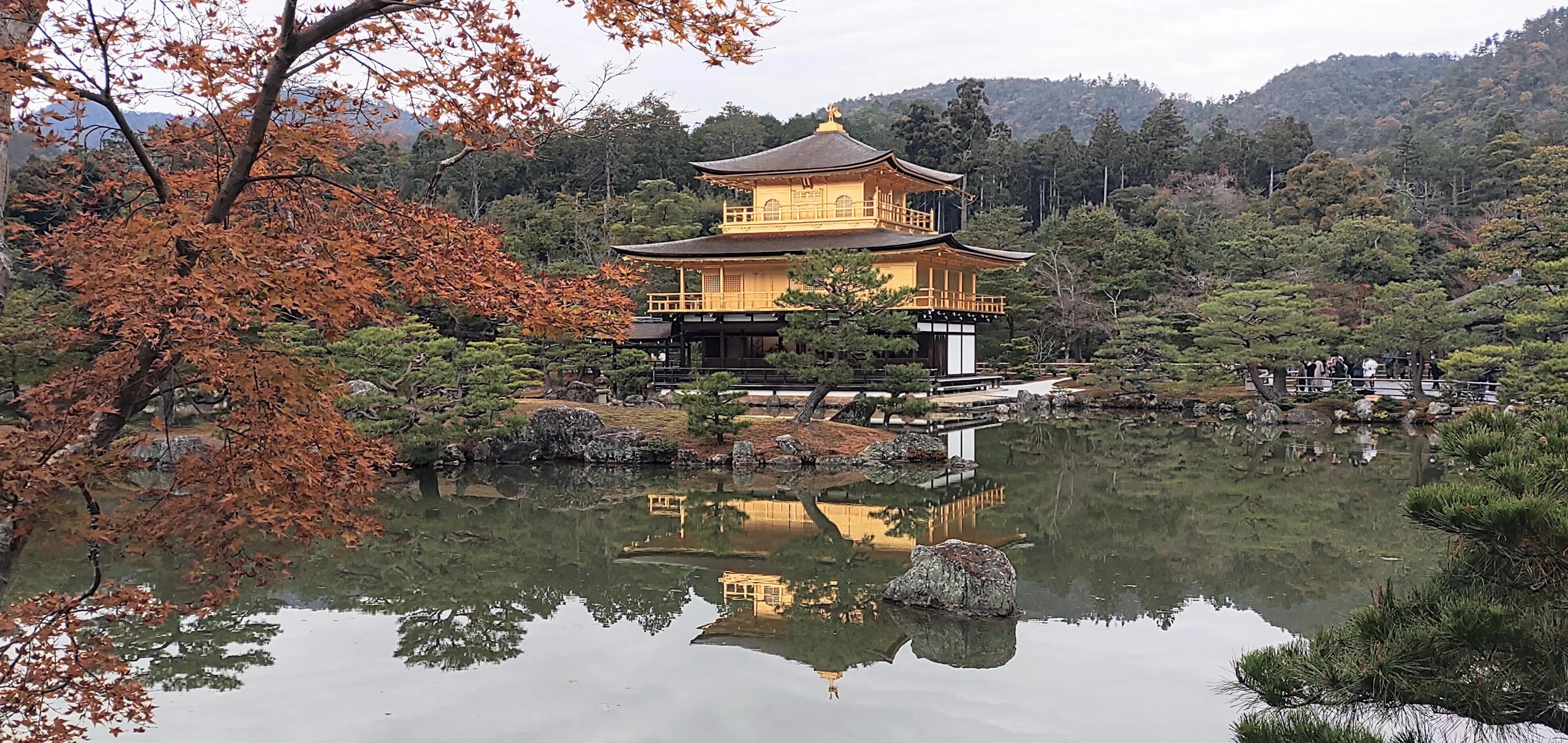 神社仏閣探訪 北山鹿苑禅寺 #金閣寺｜八田 零