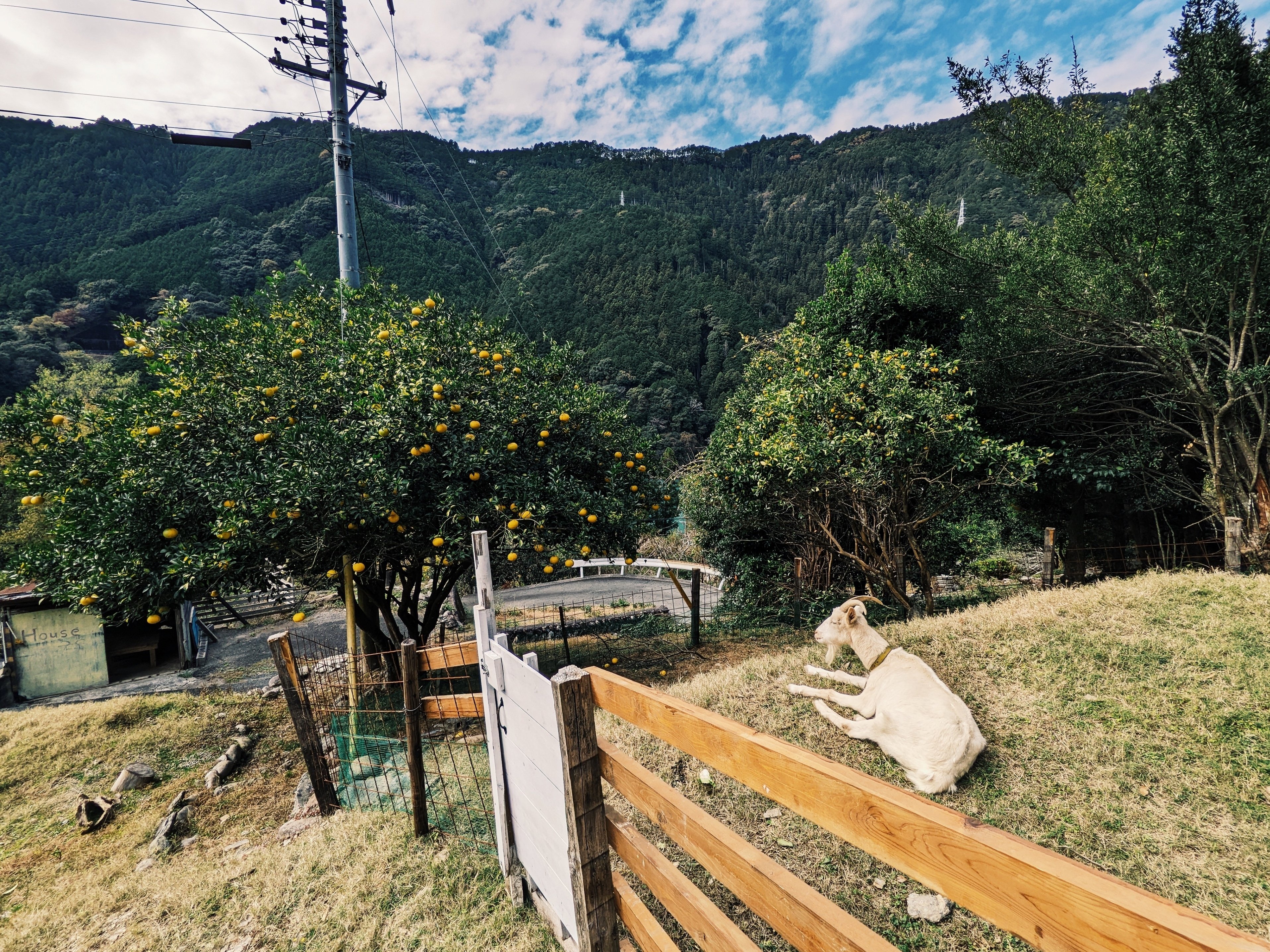 古民家カフェ】「cafe de clark」（静岡県浜松市天竜区）に行ってき