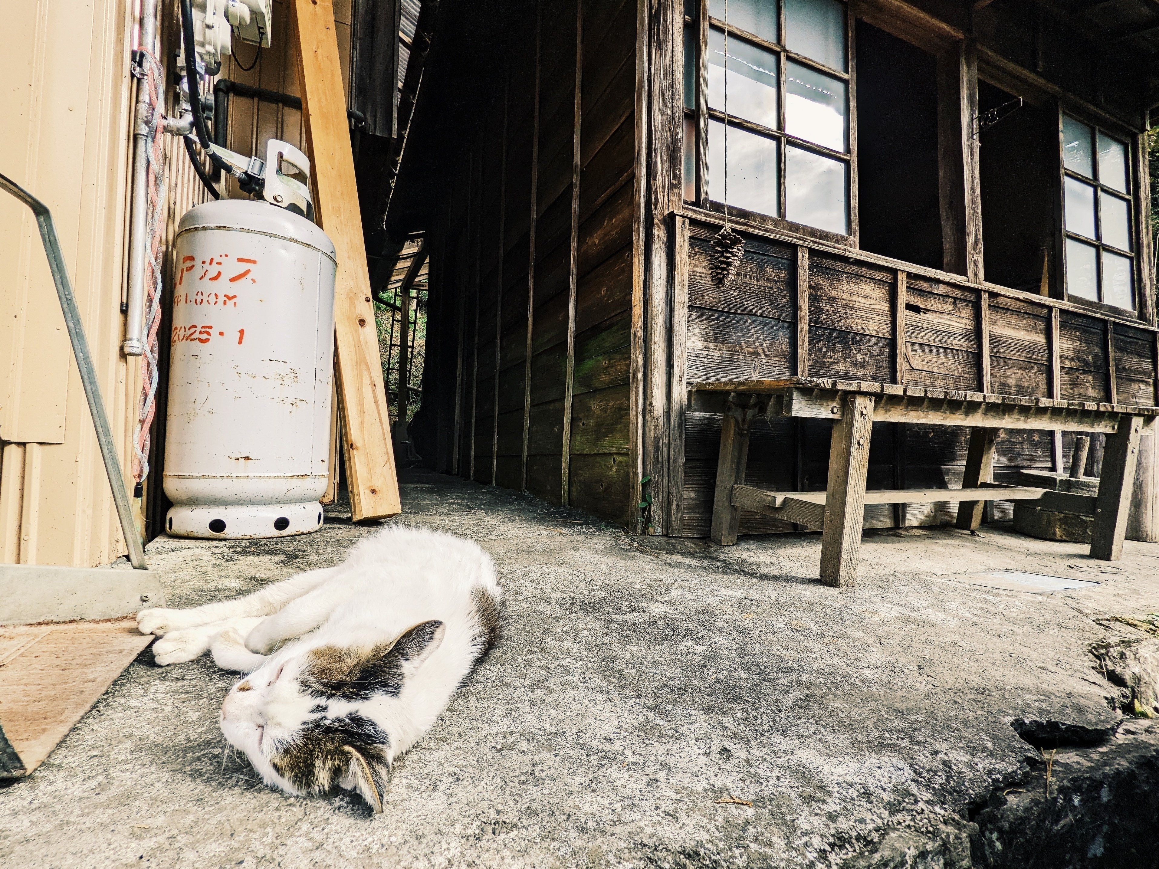古民家カフェ】「cafe de clark」（静岡県浜松市天竜区）に行ってき
