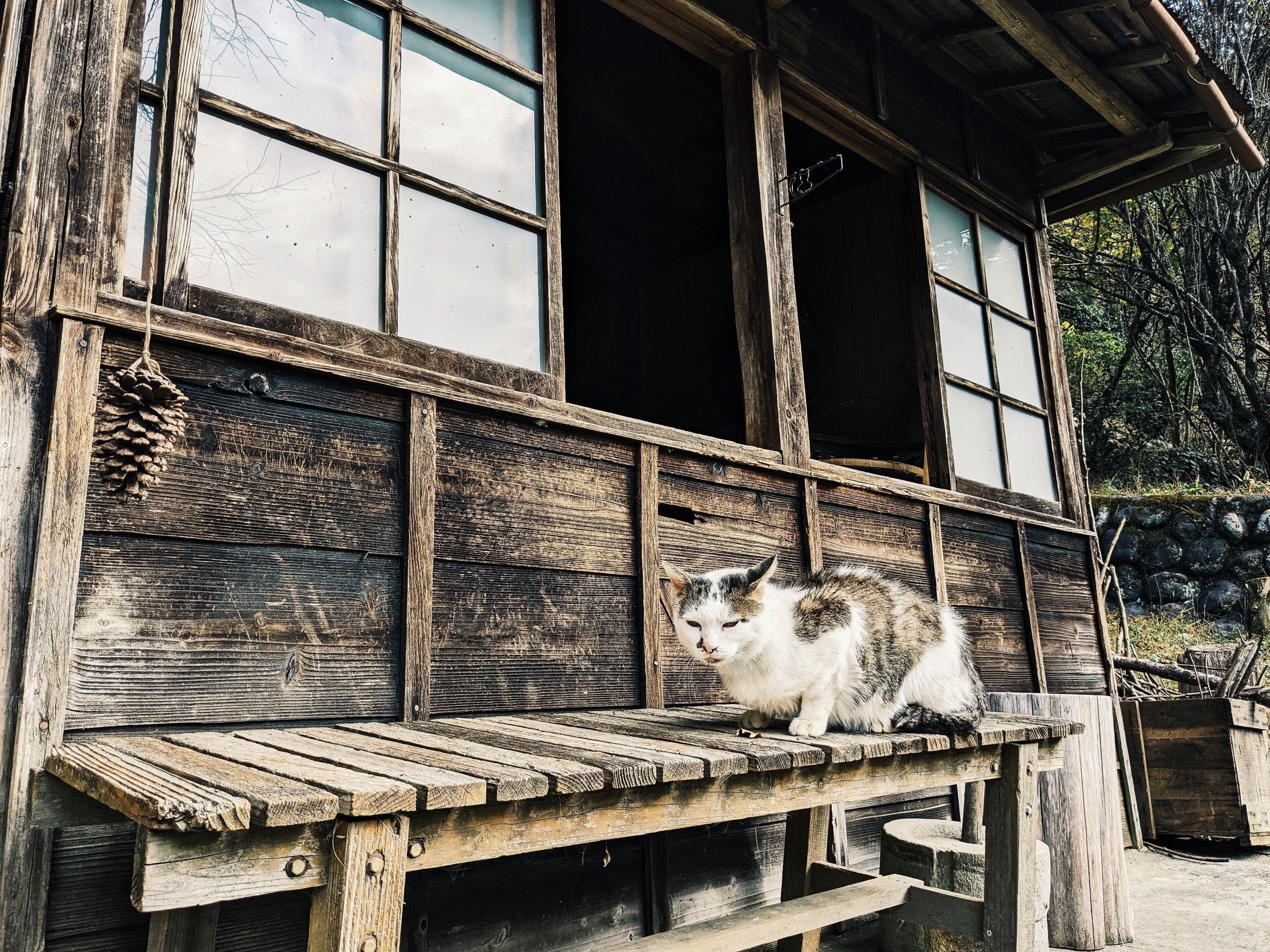 古民家カフェ】「cafe de clark」（静岡県浜松市天竜区）に行ってき