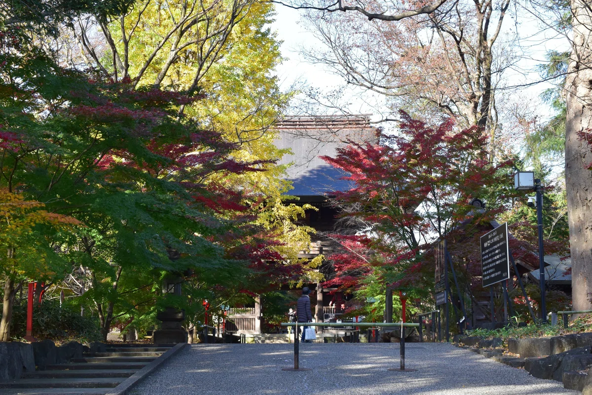 画像
