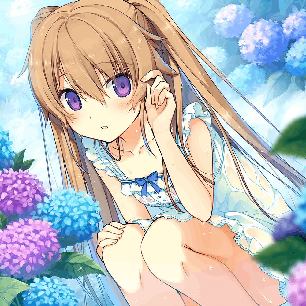 紫陽花」／有坂真白｜sprite公式