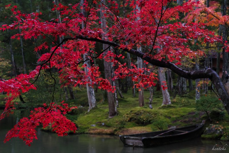 紅葉と舟 (PENTAX K-1 Mark II, smc PENTAX-D FA 100mm F2.8 WR Macro, f/8.0, 1/10s, ISO 1600)