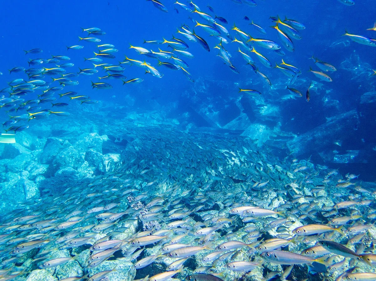 ❤水深・位置・魚群や数・底の状態など同時に確認OK♪❤最新
