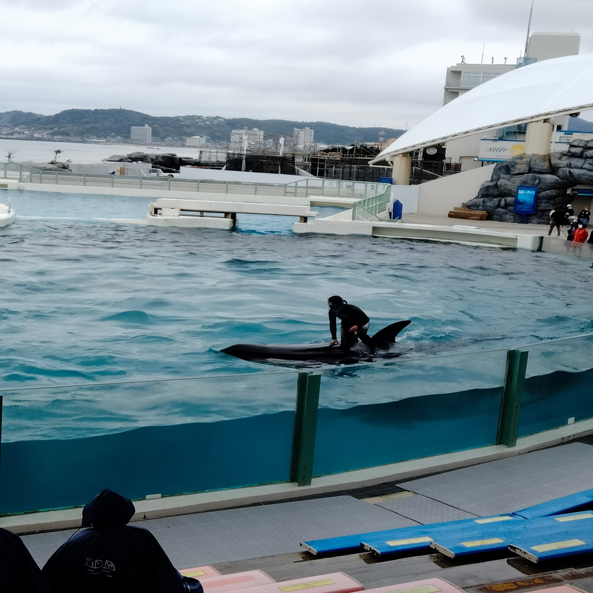 鴨川シーワールドへ Sweetmemories Note