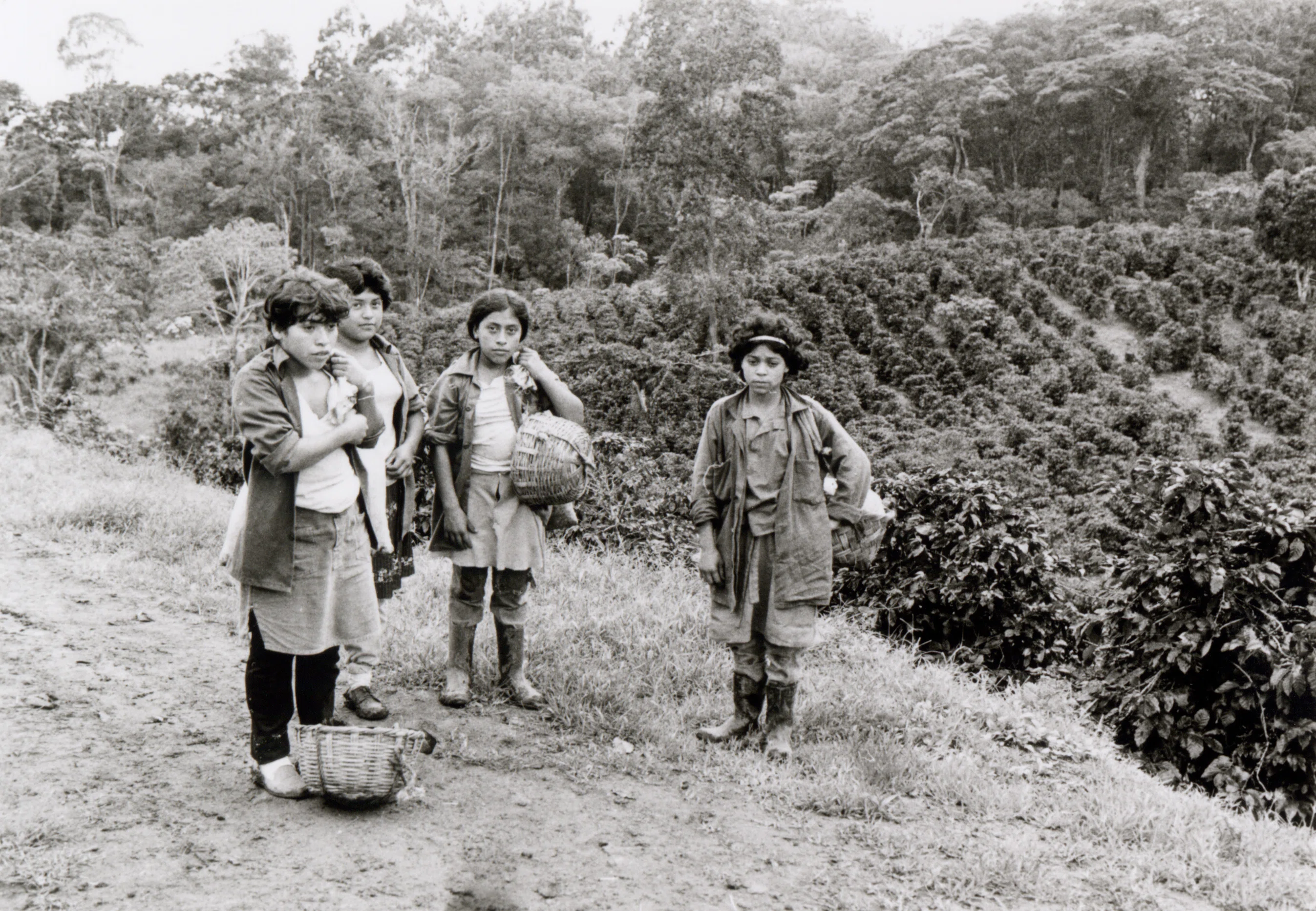 近世における百姓の土地所有 Land ownership relinquishment lawsuit - what was the outcome