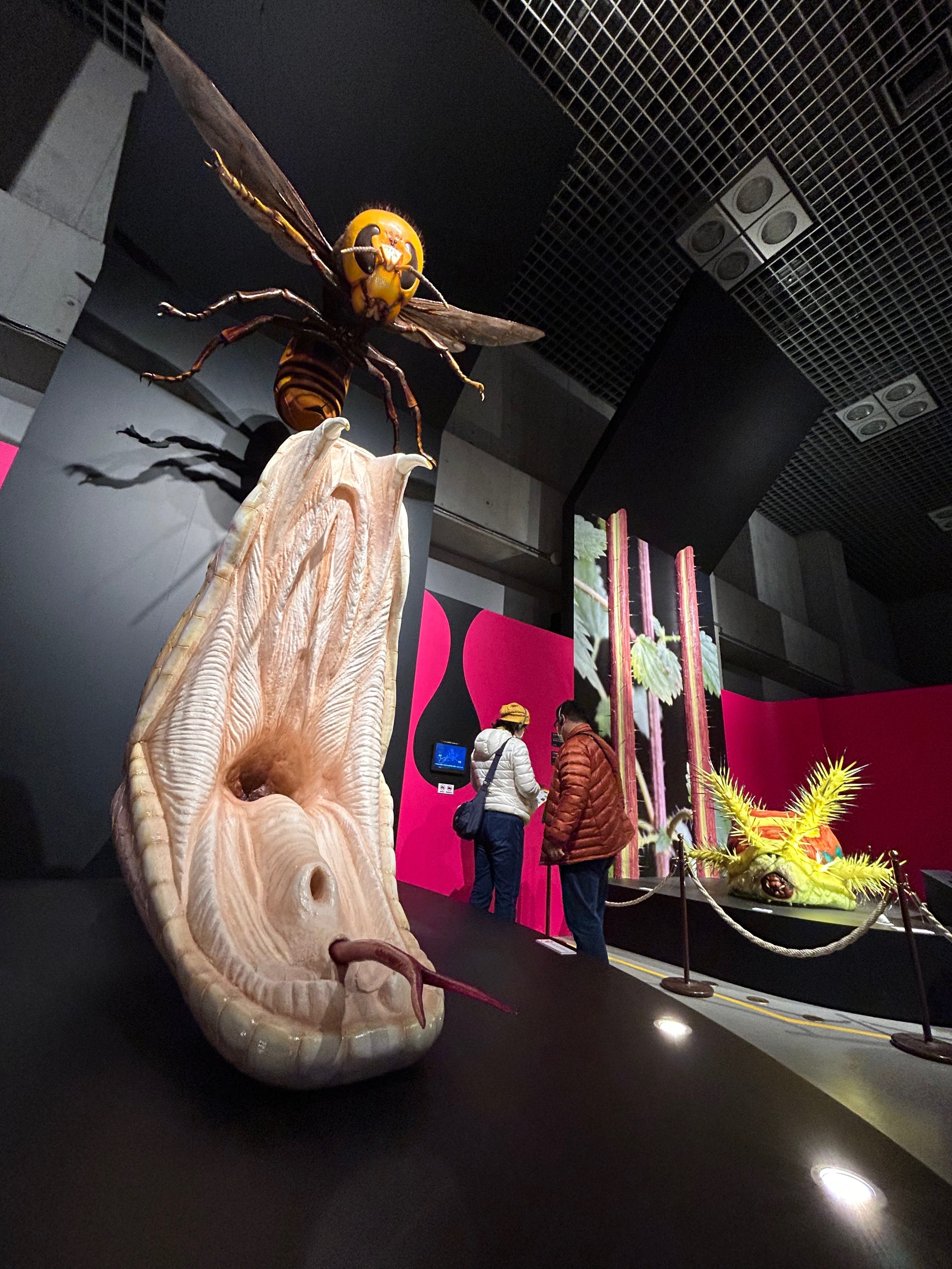 おおきなベニテングタケ 毒展 毒展グッズ開封】特別展「毒」はショップもインパクト大！毒