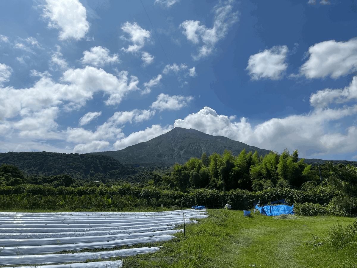 桜島へ埋まった鳥居を見に行った話｜(株)レスキューナウ（24時間