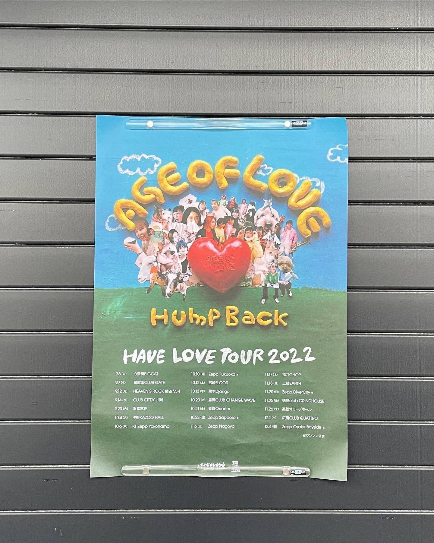 hump back ハブラブツアー行った話｜オハナ！