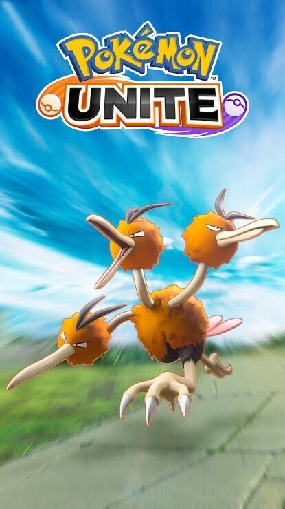 ドードリオのつかいかた｜岡本真琴/セブン 