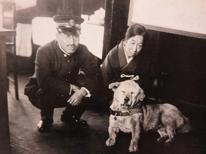 忠犬ハチ｜TECHNOuchi