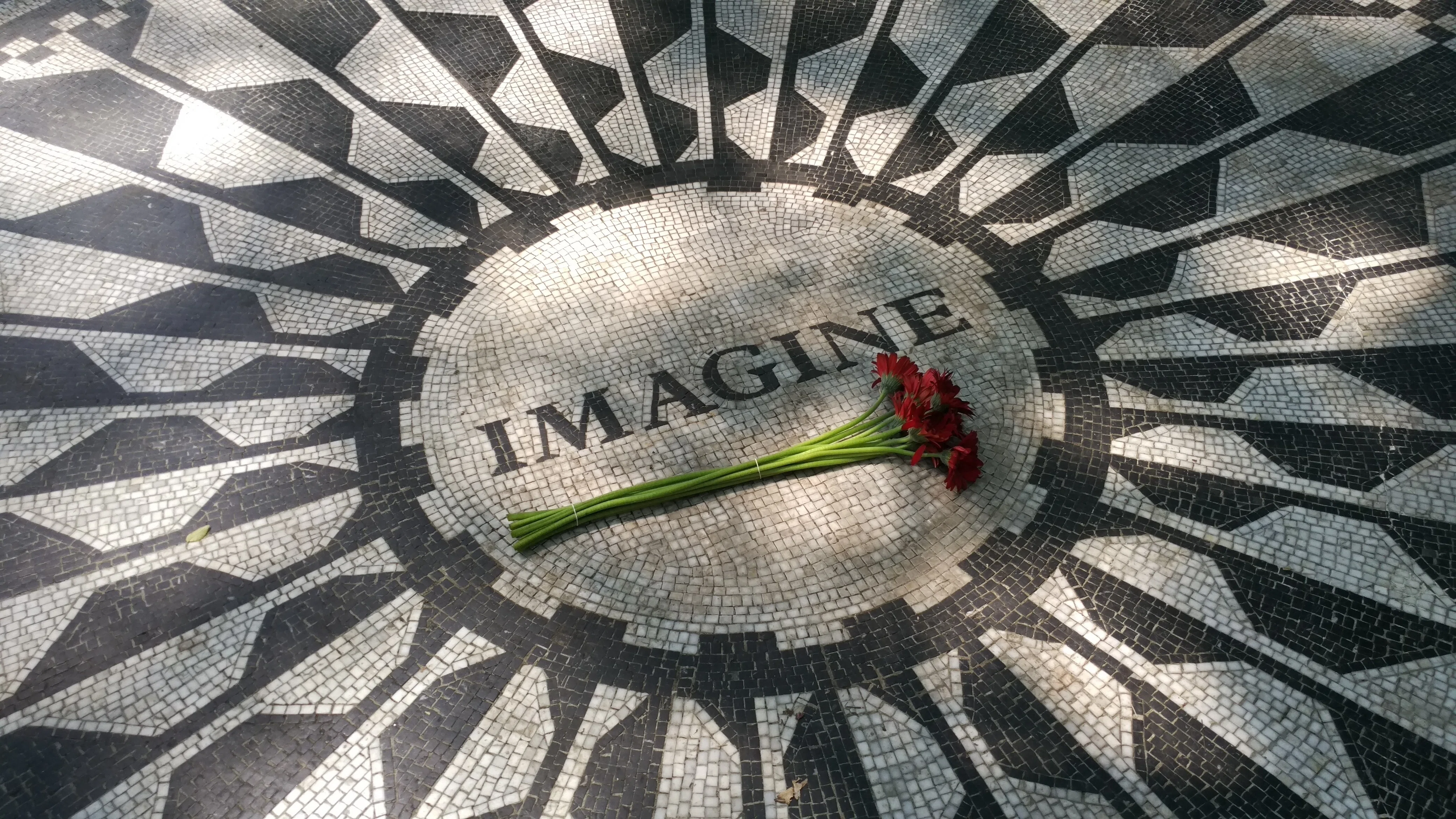 IMAGINE PEACE 〜1981年、オノ・ヨーコからのメッセージ｜徳永 健