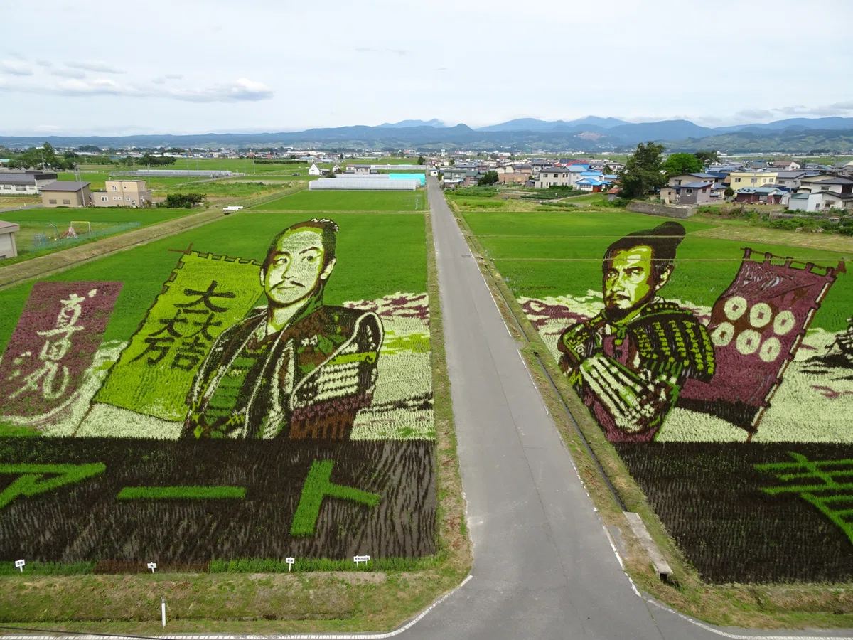 画像
