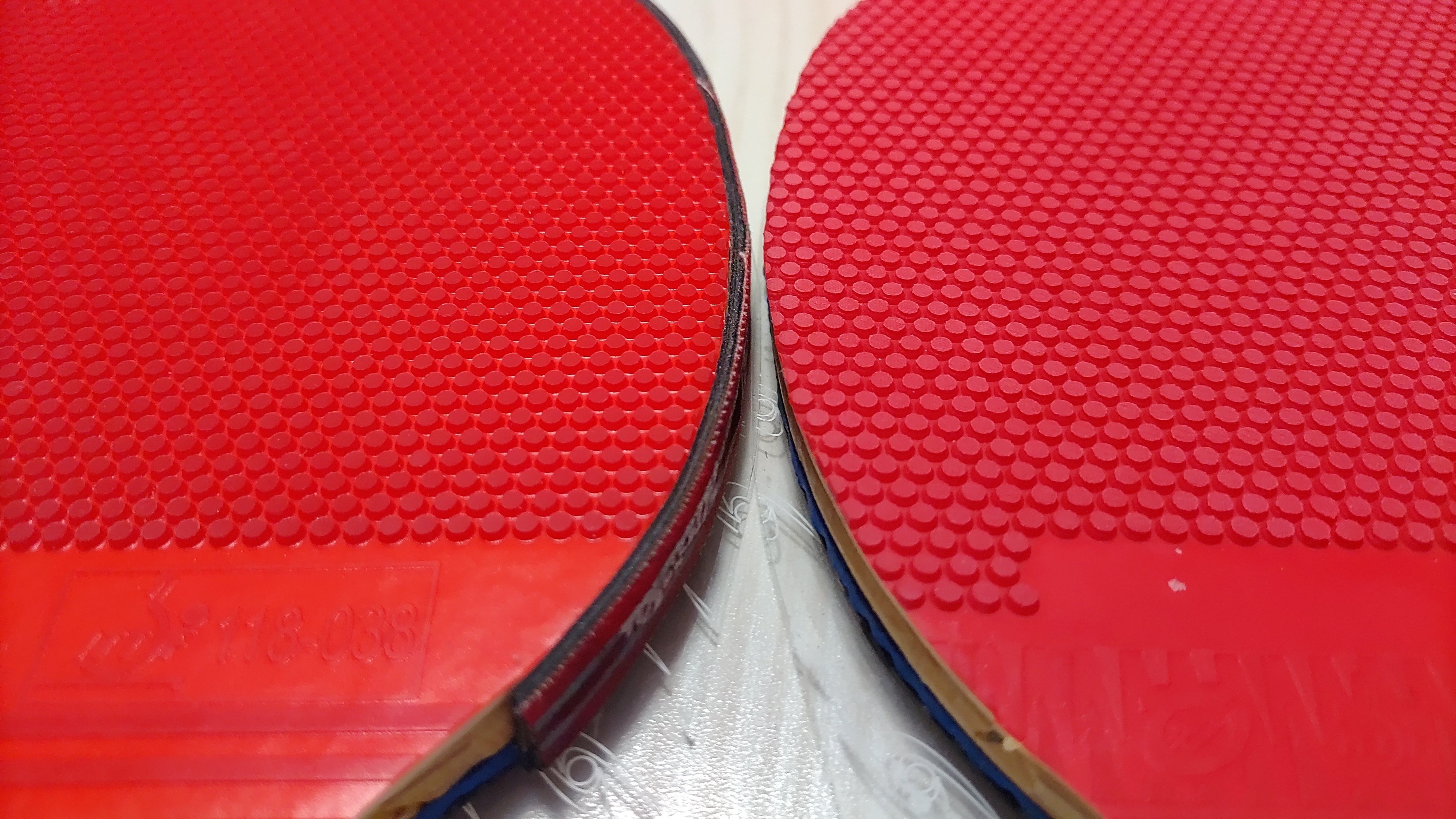 卓球　表　ラバー　SPINFIRE スピンファイア　人気　スポーツ　MM2 卓球 表 ラバー SPINFIRE スピンファイア 緑 カラー 1.6mm 卓球 ラバー