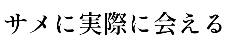 サメに実際に会える