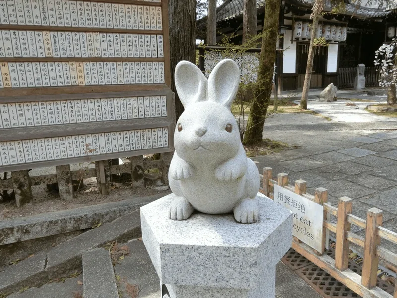 お知らせ】うさぎ&お金神社!新選組/スサノオ本宮/東寺/安倍晴明など