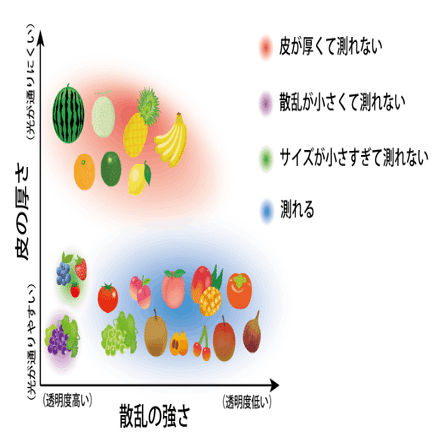 非破壊糖度計について｜かえる農園 雄かえる