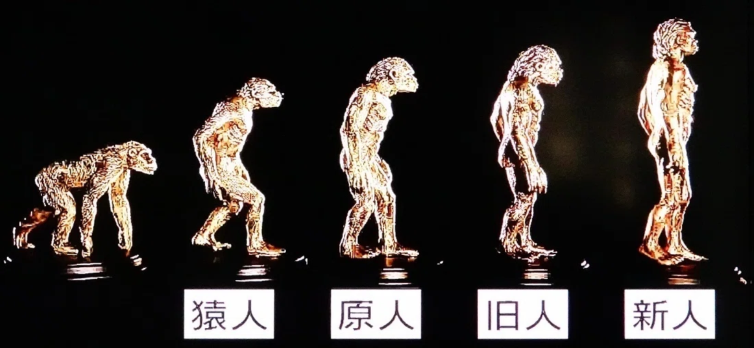 絶滅人類の衝撃～第一回「20種以上の絶滅人類」｜oichan