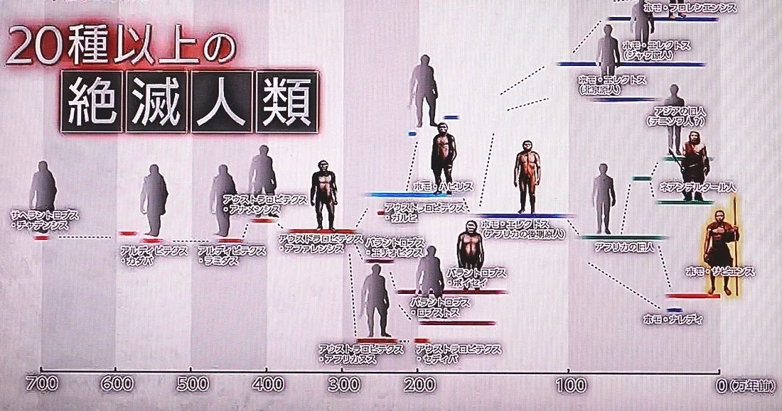 【中古】 絶滅ー人類の「自己」選択 絶滅人類の衝撃～第一回「20種以上の絶滅人類」｜oichan