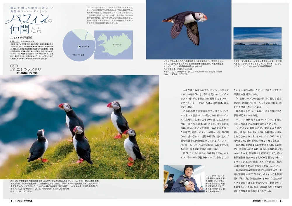 BIRDER1月号の見どころ｜ブンイチ（文一総合出版）