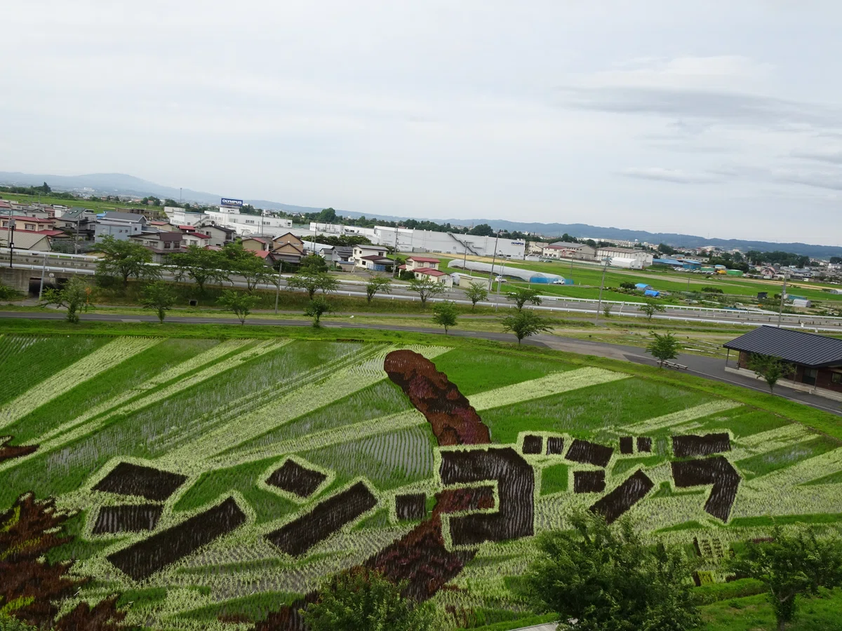 画像