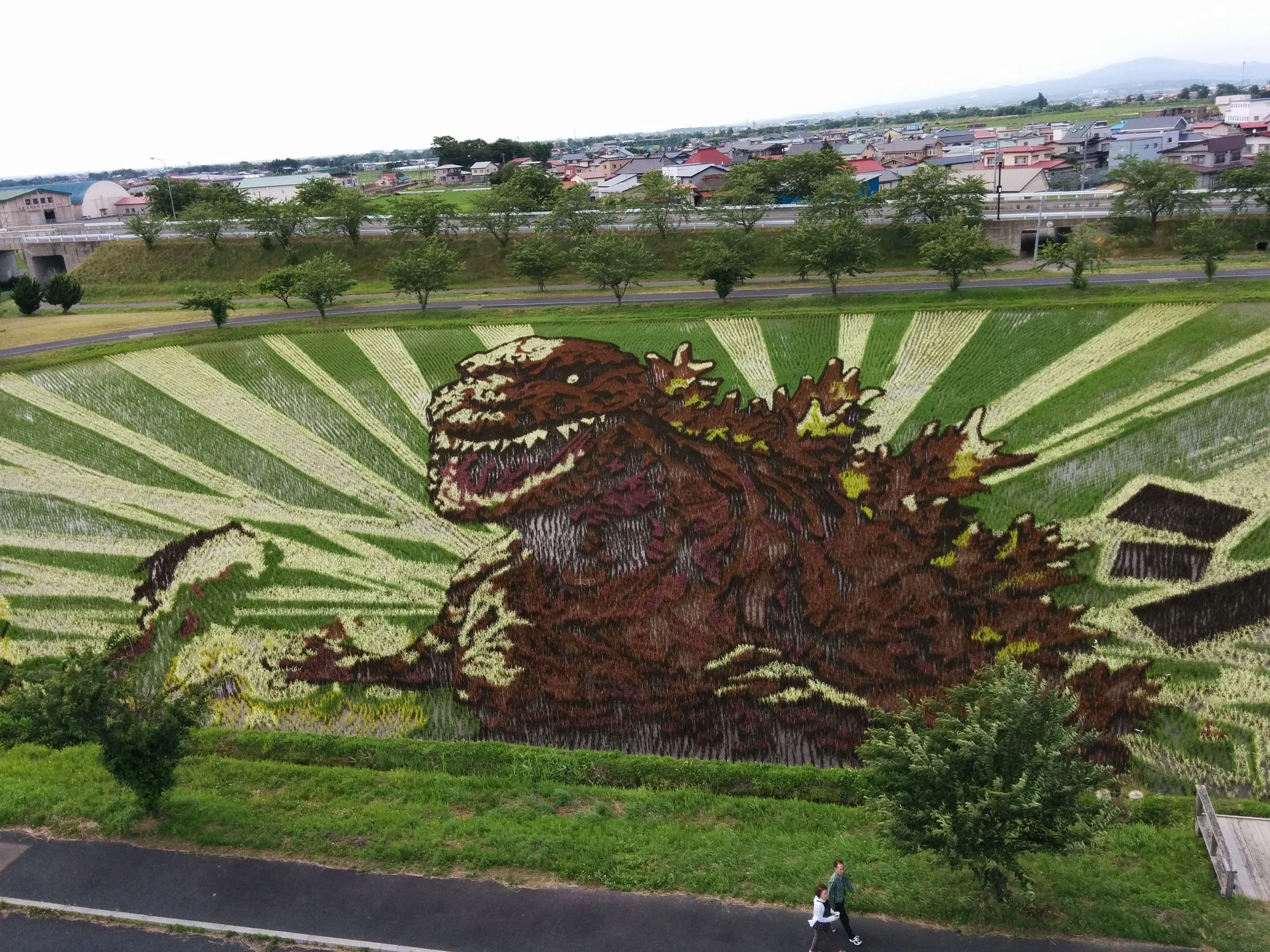 つながる旅行記#112】in田舎館 第二会場の田んぼアートと石アート｜aosagi