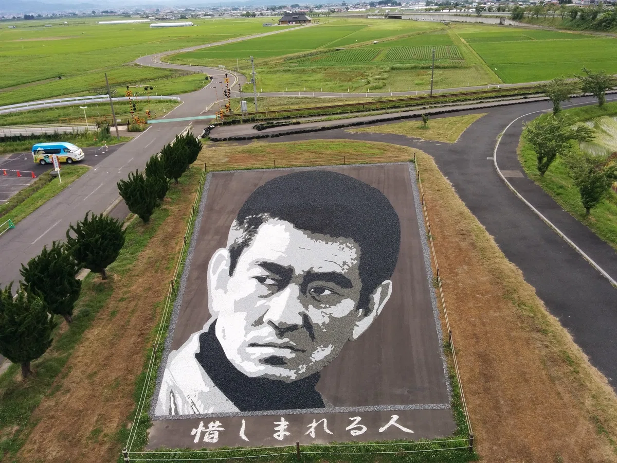 画像