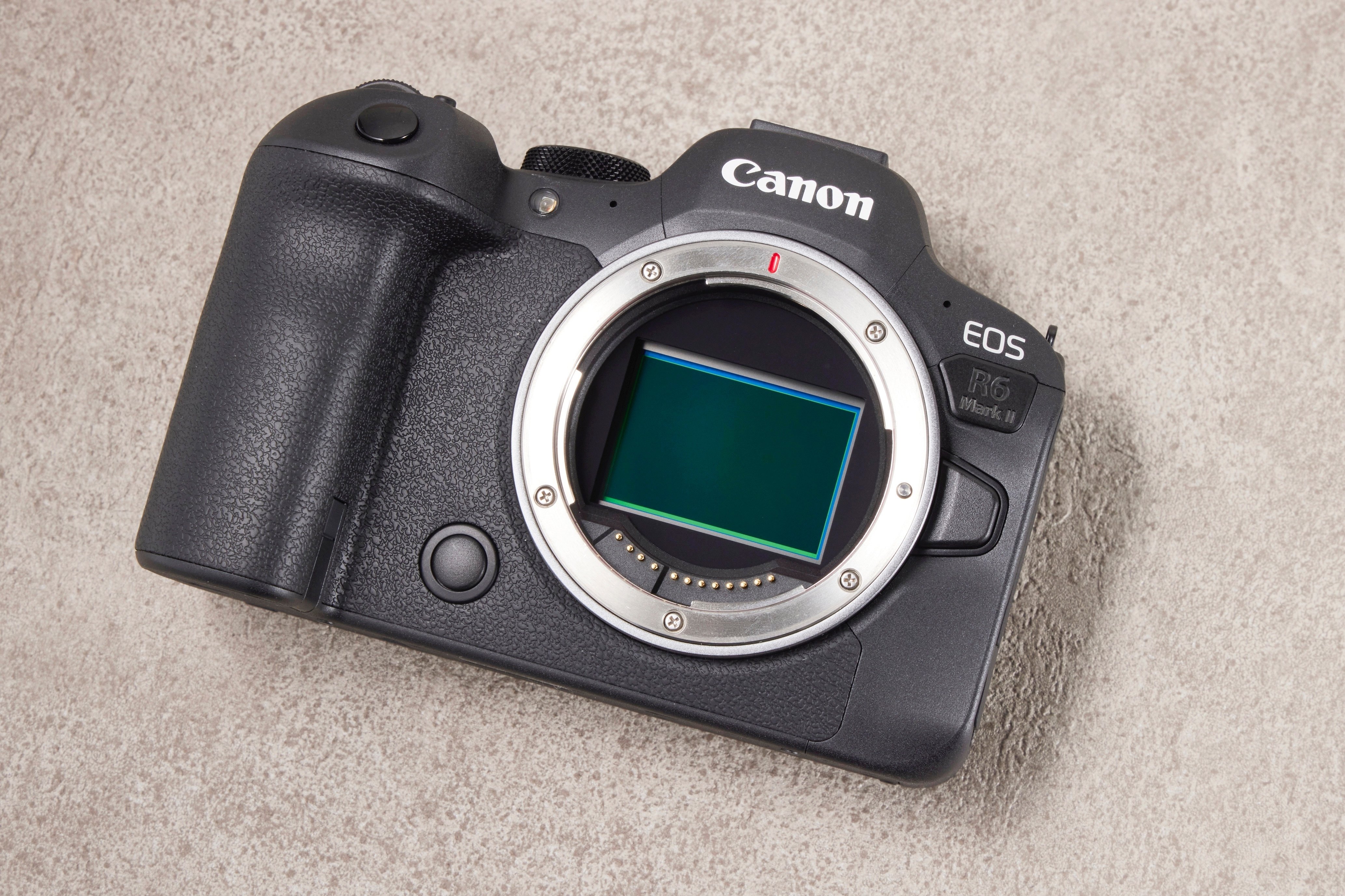 キヤノン EOS R6 MarkⅡ 実写レビュー: AF性能の進化を実感 キヤノン EOS R6 MarkⅡ 実写レビュー: AF性能の進化を実感