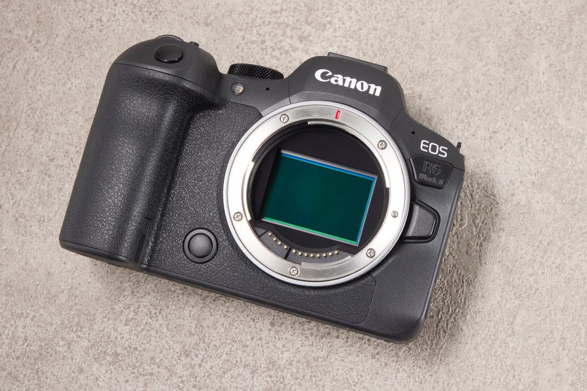 キヤノン EOS R6 MarkⅡ 実写レビュー： AF性能の進化を実感! 使い勝手 