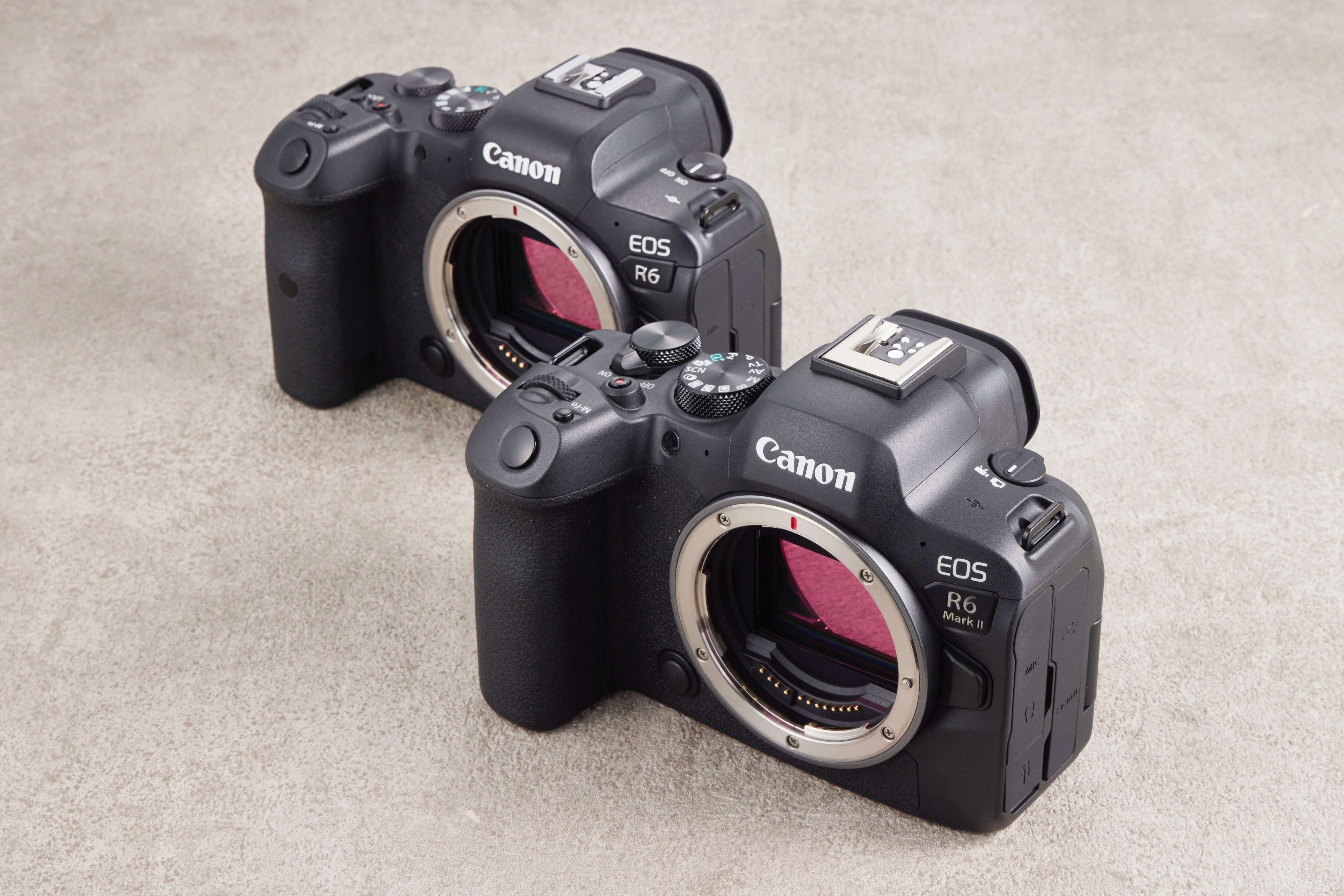 キヤノン EOS R6 MarkⅡ 実写レビュー： AF性能の進化を実感