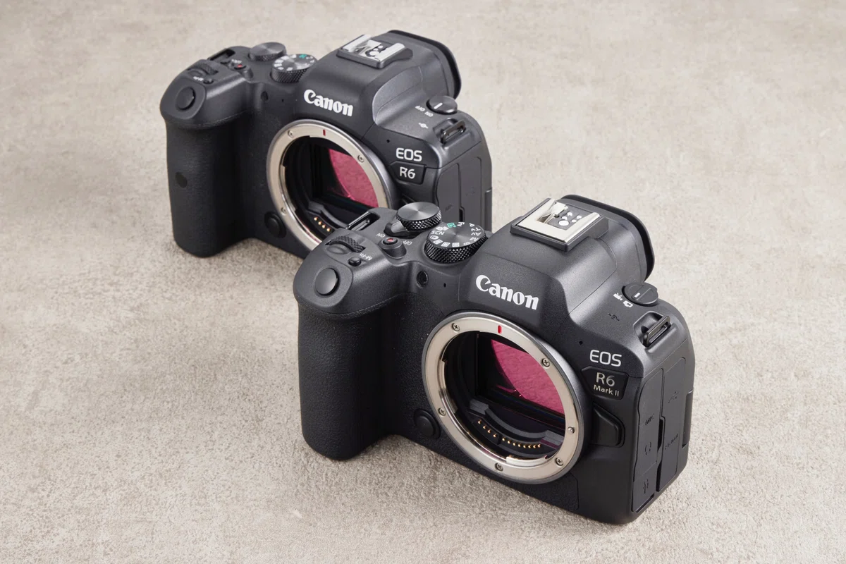 キヤノン EOS R6 MarkⅡ 実写レビュー： AF性能の進化を実感! 使い勝手 
