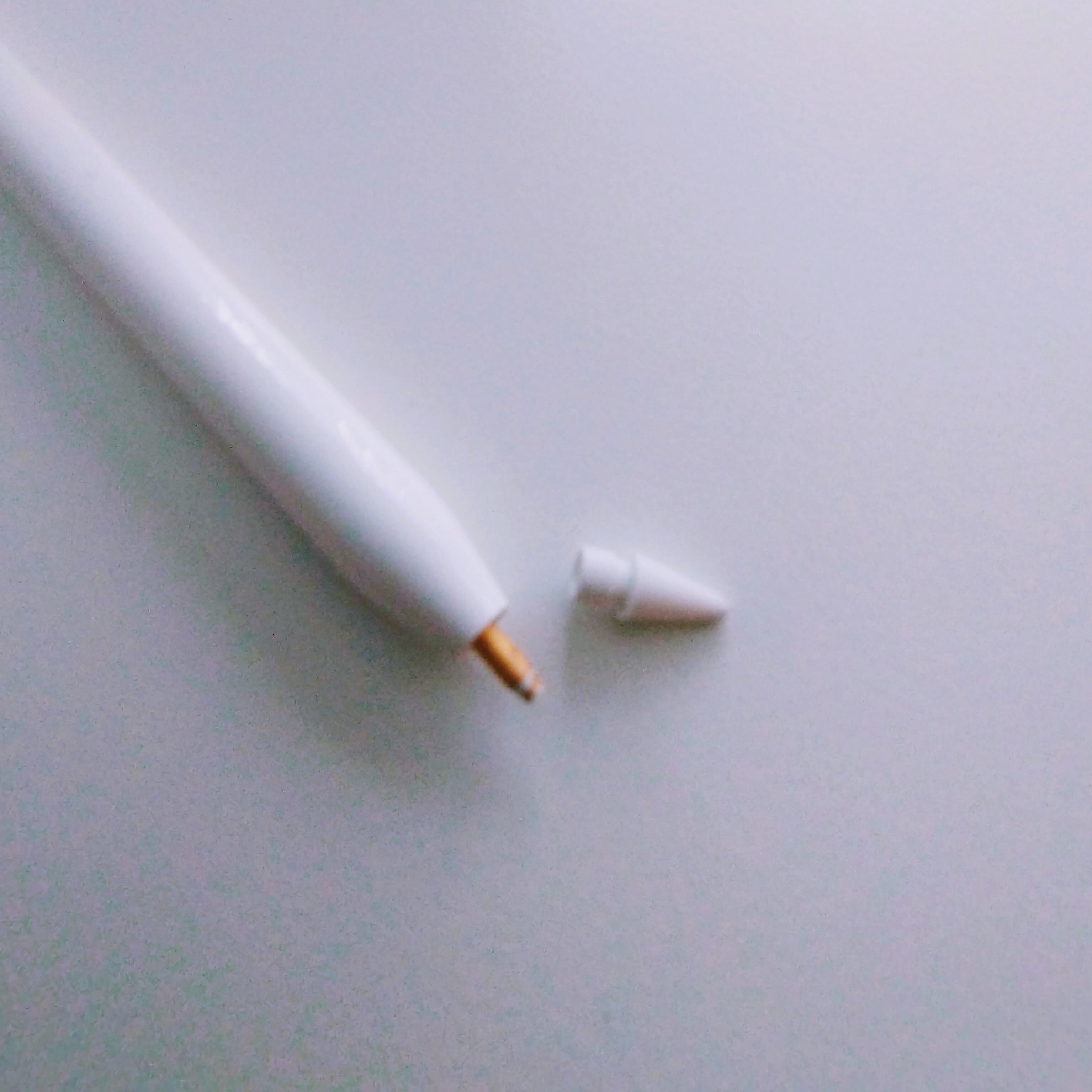 Apple pencilのペン先が折れた！そんな時の対処法｜ちゃまな🇺🇸フロリダ