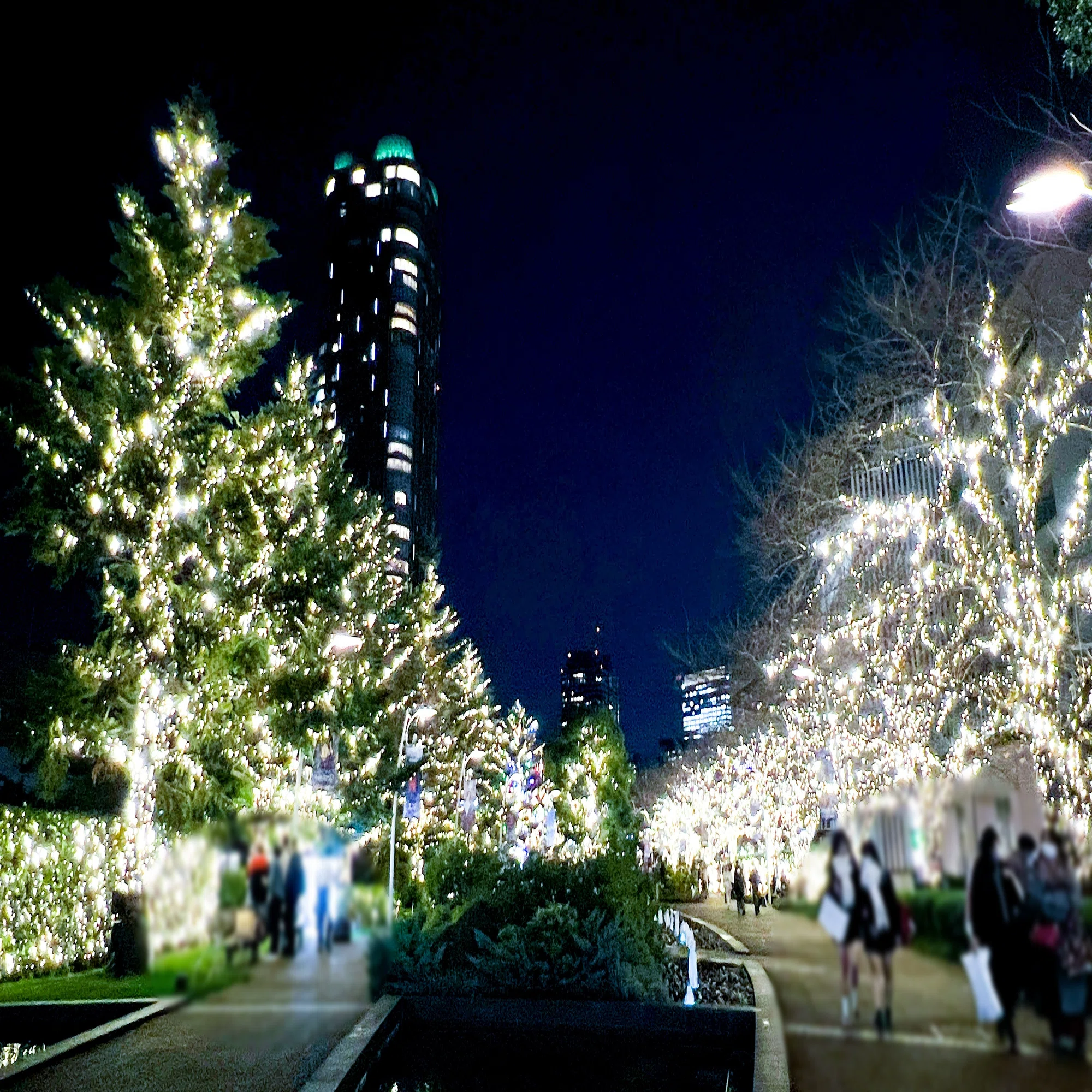今年のクリスマスはアートな夜景をいかが？ アーティスト・デザイナー 