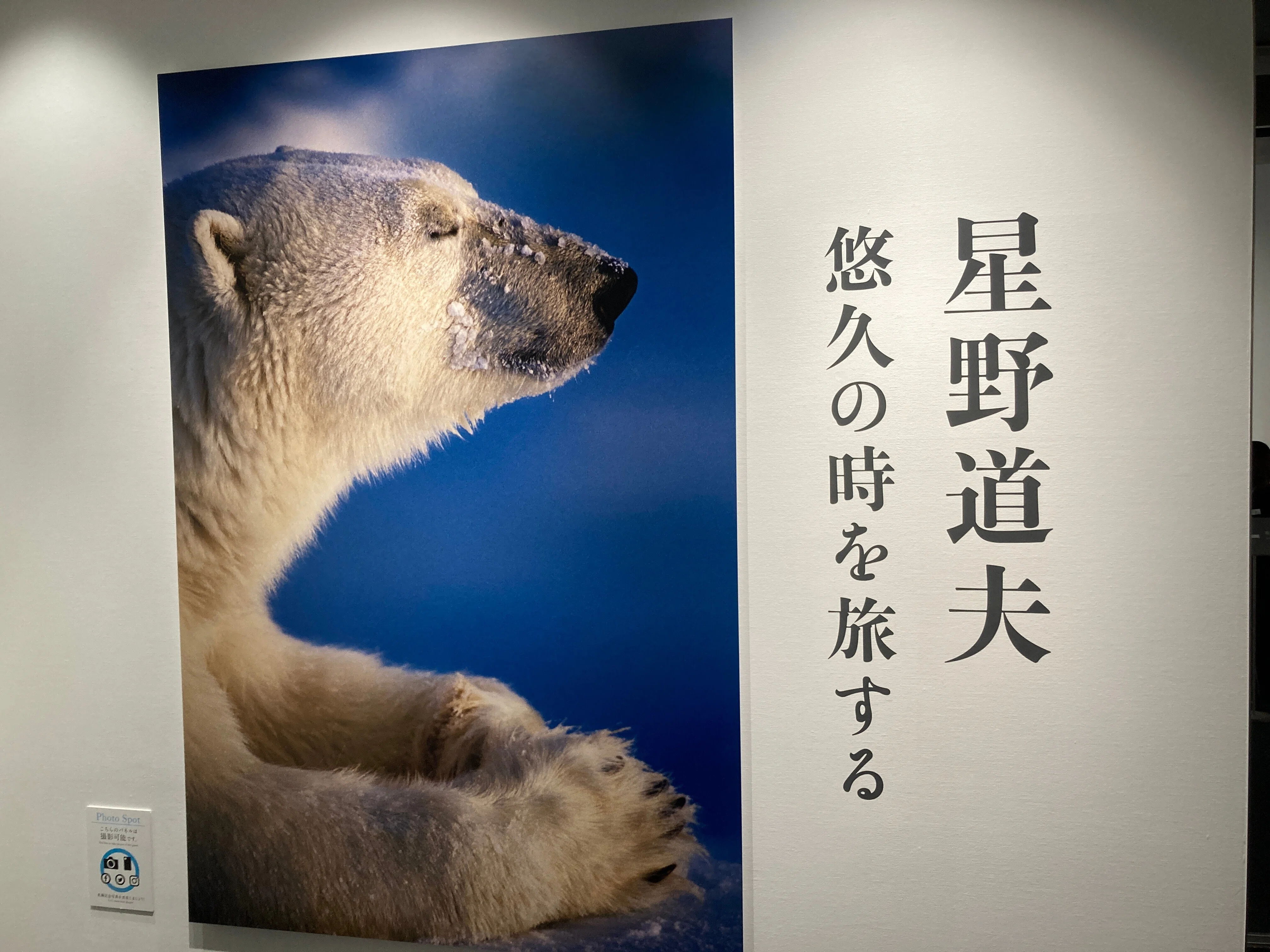 写真展「星野道夫 悠久の時を旅する」が素晴らしかった｜中村洋太