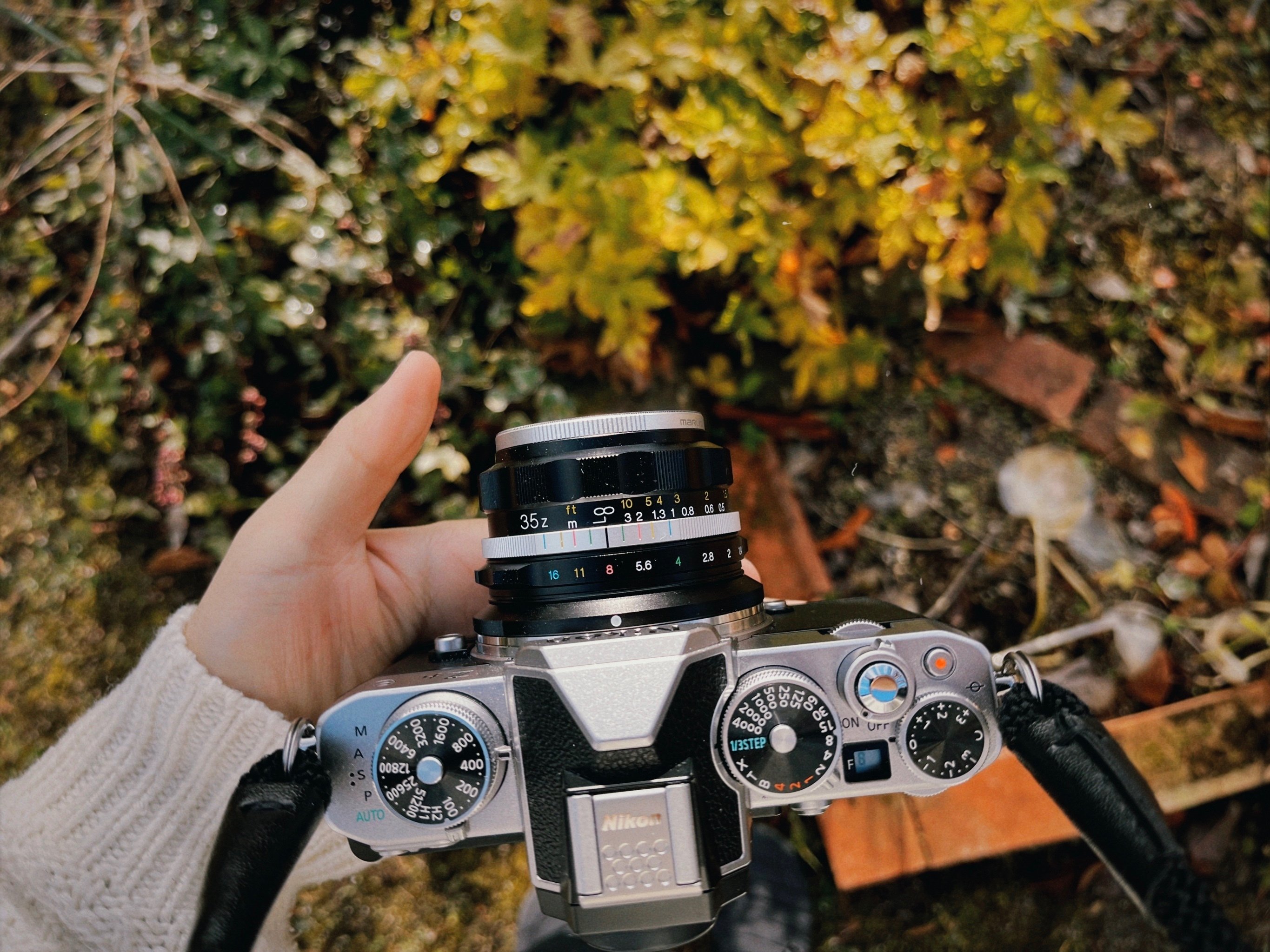 フォクトレンダー Nokton D35mm F1.2|わたろ フォクトレンダー Nokton D35mm F1.2|わたろ
