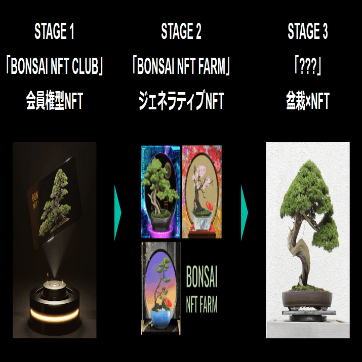 盆栽×NFT「BONSAI NFT CLUB」世界を熱狂させるための成長戦略｜miin