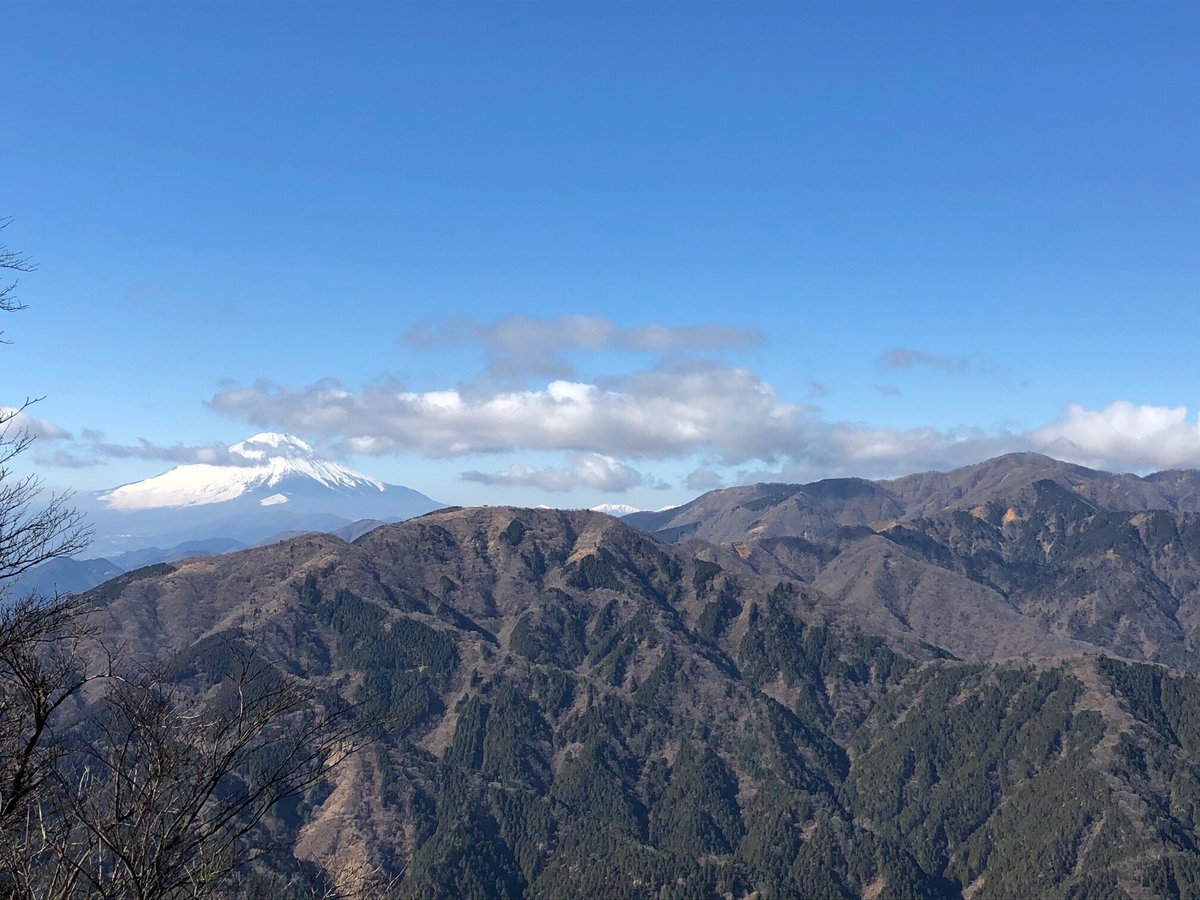 マイナー登山道を往く　丹沢　大山　イタツミ尾根　富士山