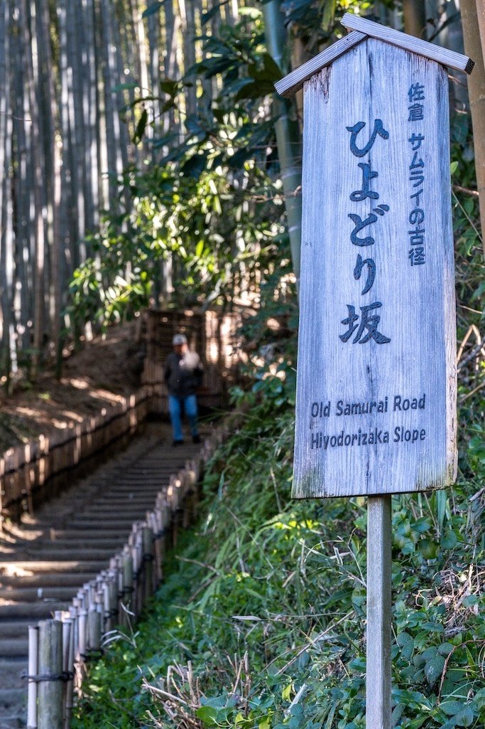 江戸幕府を支えた名藩佐倉藩の城下町 千葉県佐倉市｜gifted_otter734