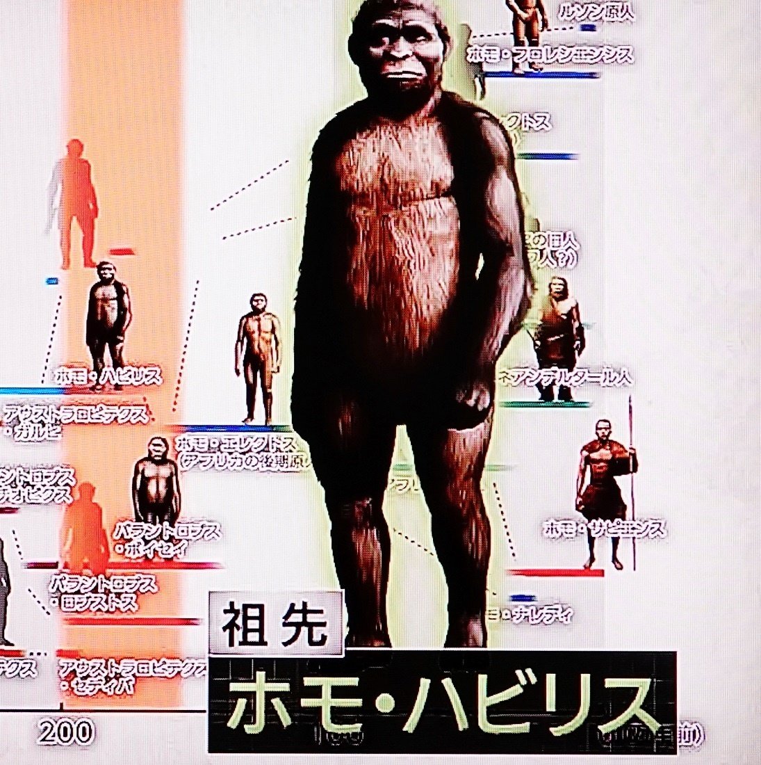 Asqgvccvj2dmpm Asqgvccvj2dmpm