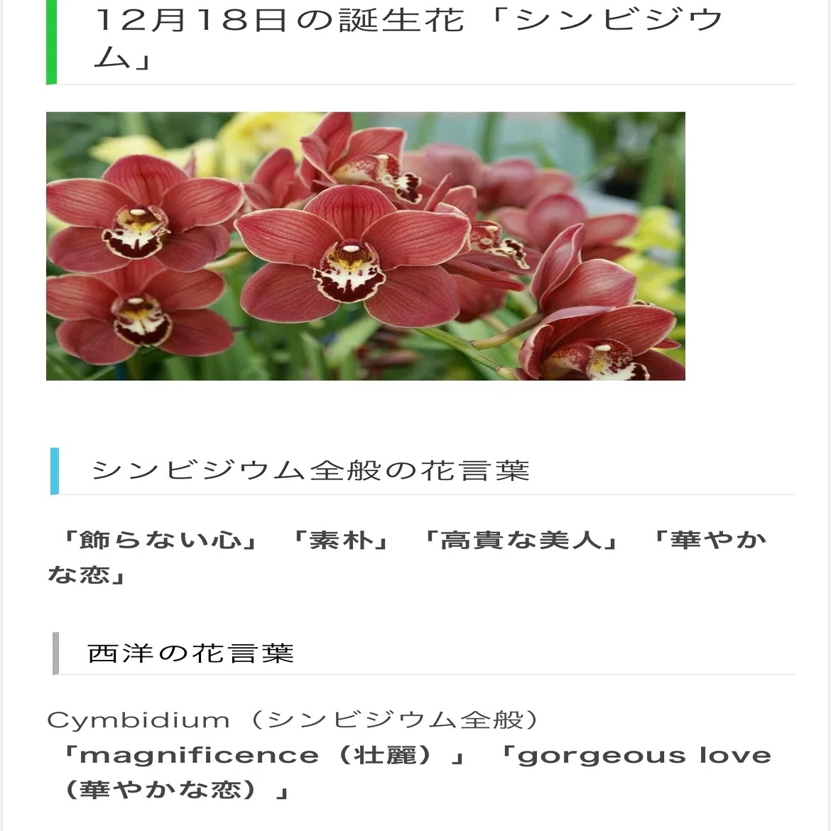 12月18日生まれのあなたへ Chiyo Note
