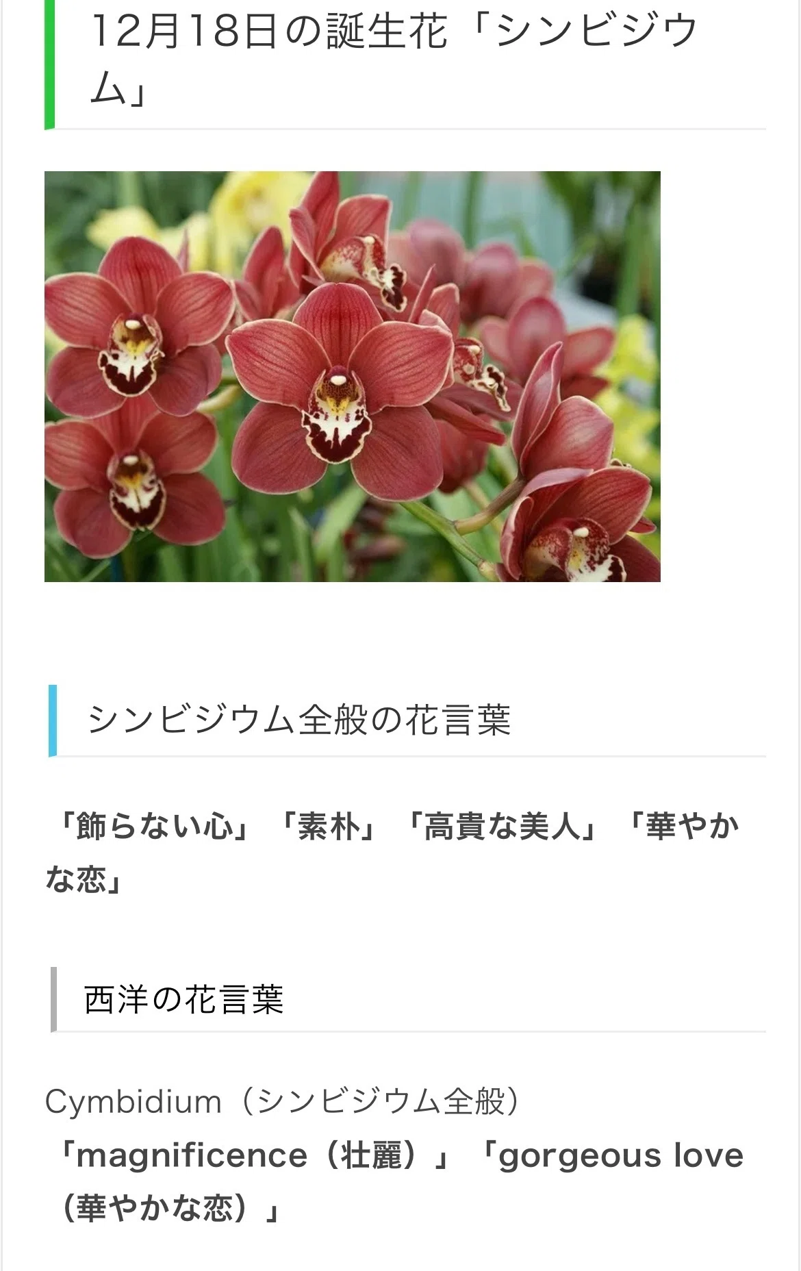 12月18日生まれのあなたへ Chiyo Note 12月18日生まれのあなたへ Chiyo Note