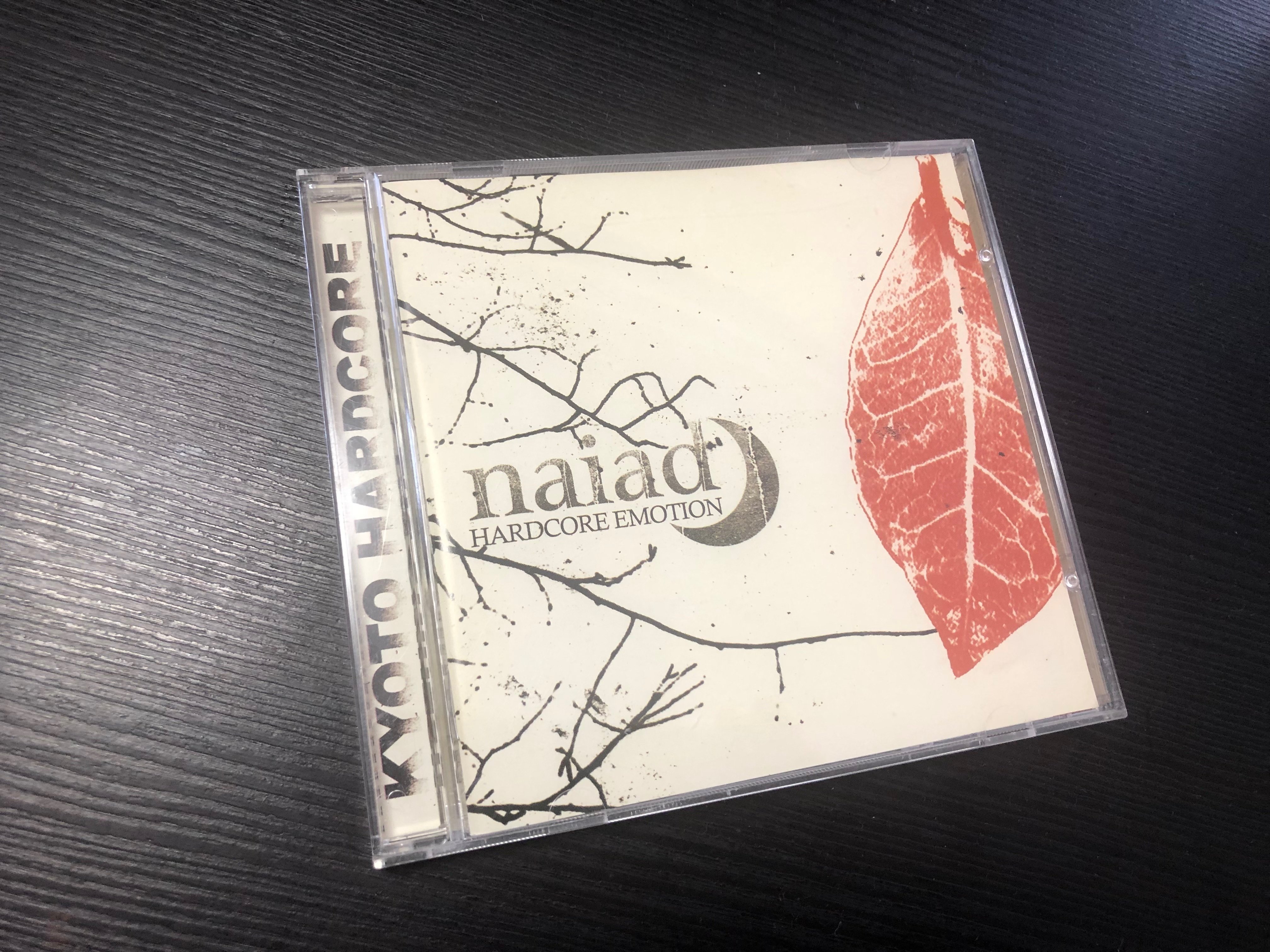 くだらない1日 ハードコアを内包するエモバンド｜takexxx