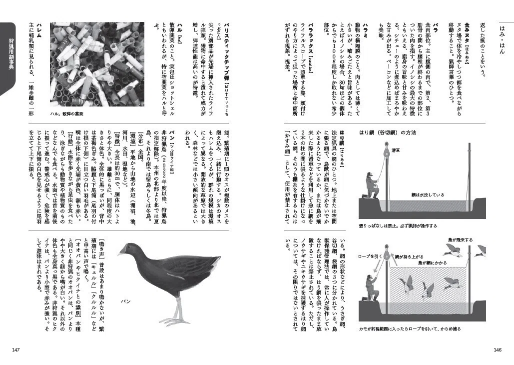 新刊紹介】ハンティングやジビエにまつわる1000語超を収録した、これ