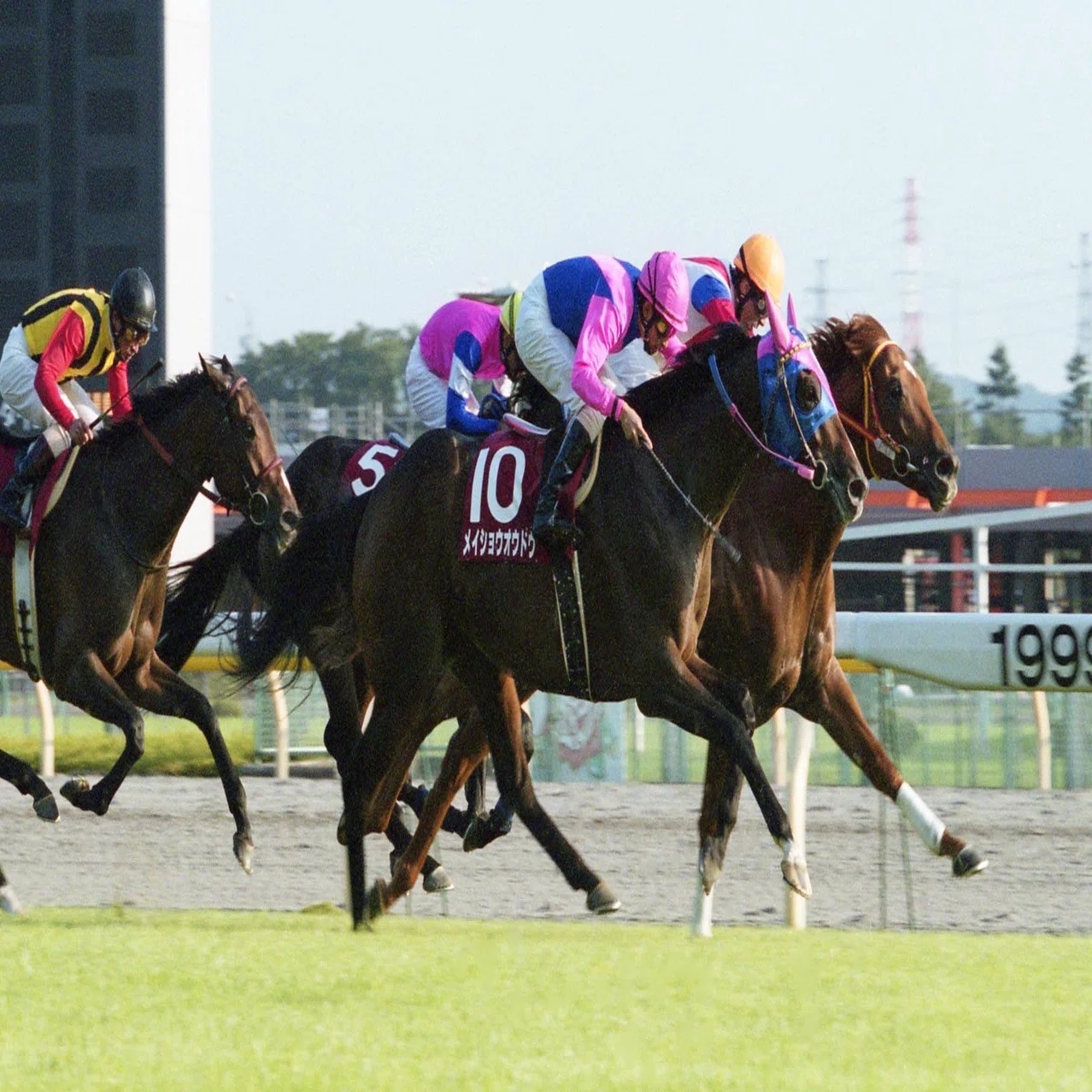 セイウンスカイ 1999年日経賞 単勝馬券 当たり馬券 セイウンスカイ 
