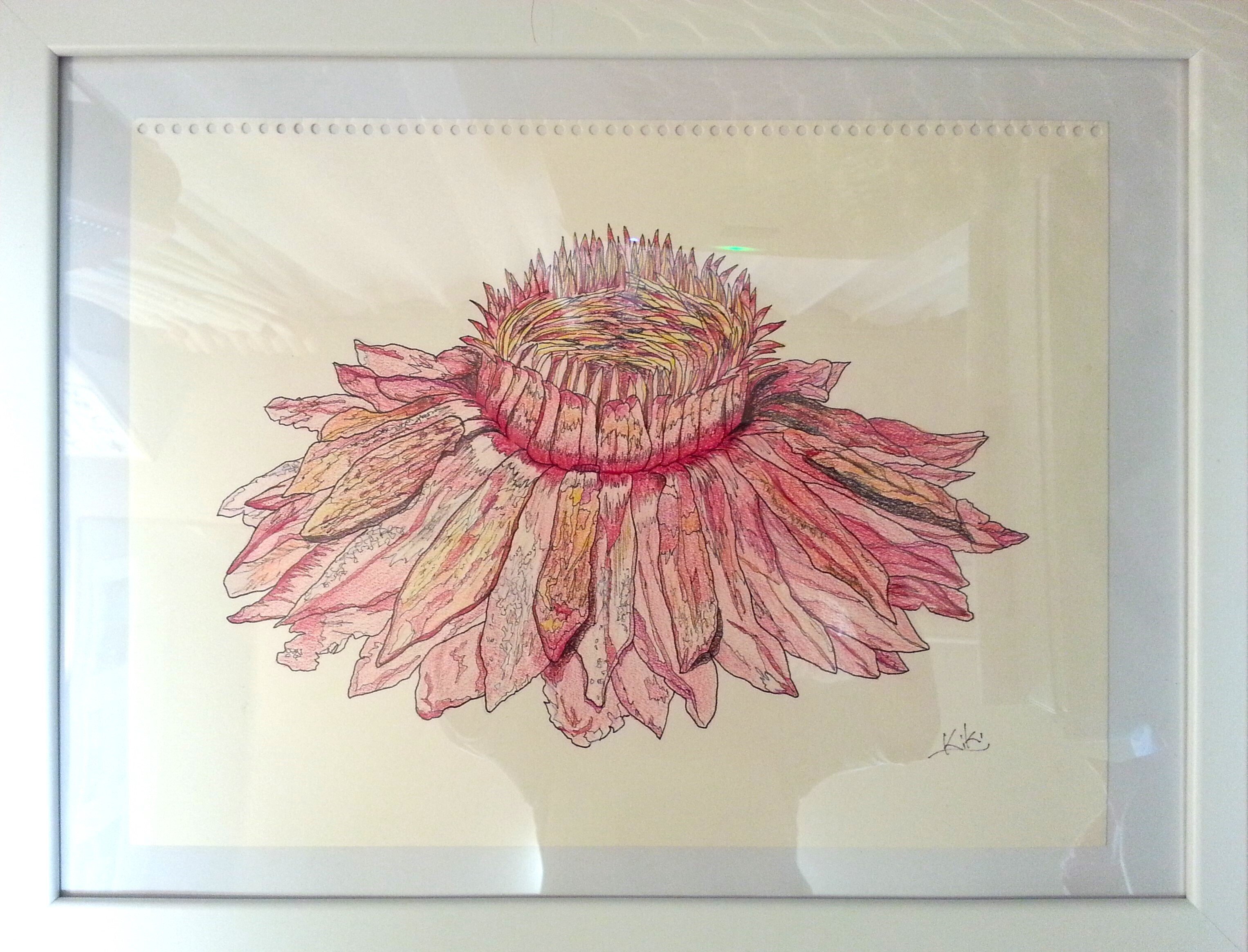 『植物の私生活』！！デービッドアッテンボロー氏への超リスペクト愛｜きぬ仙人