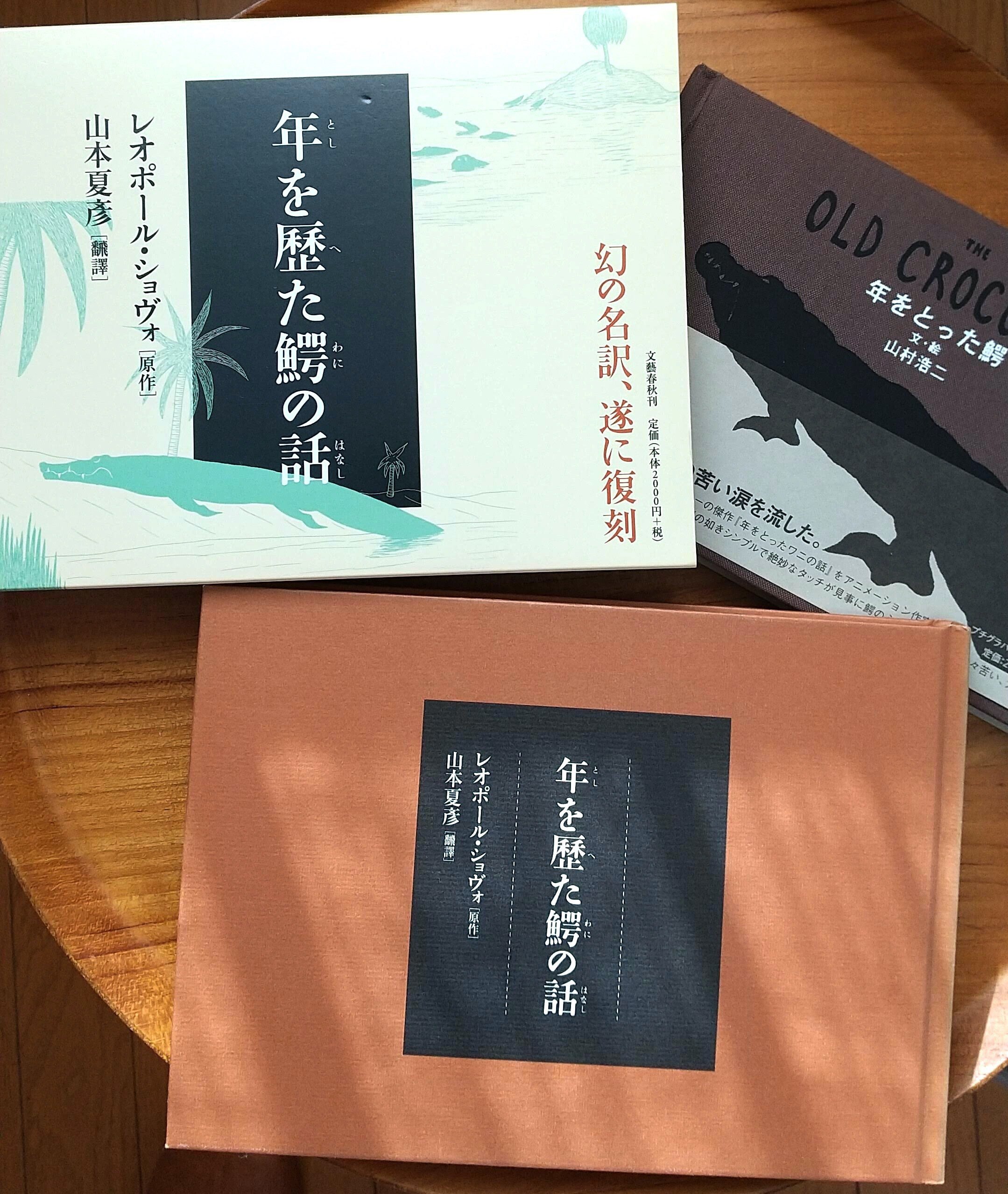 【未使用】ワニのJIGPUZZ BOOKS 朝霧高原の証言 ワニのこと。｜haniho_kum