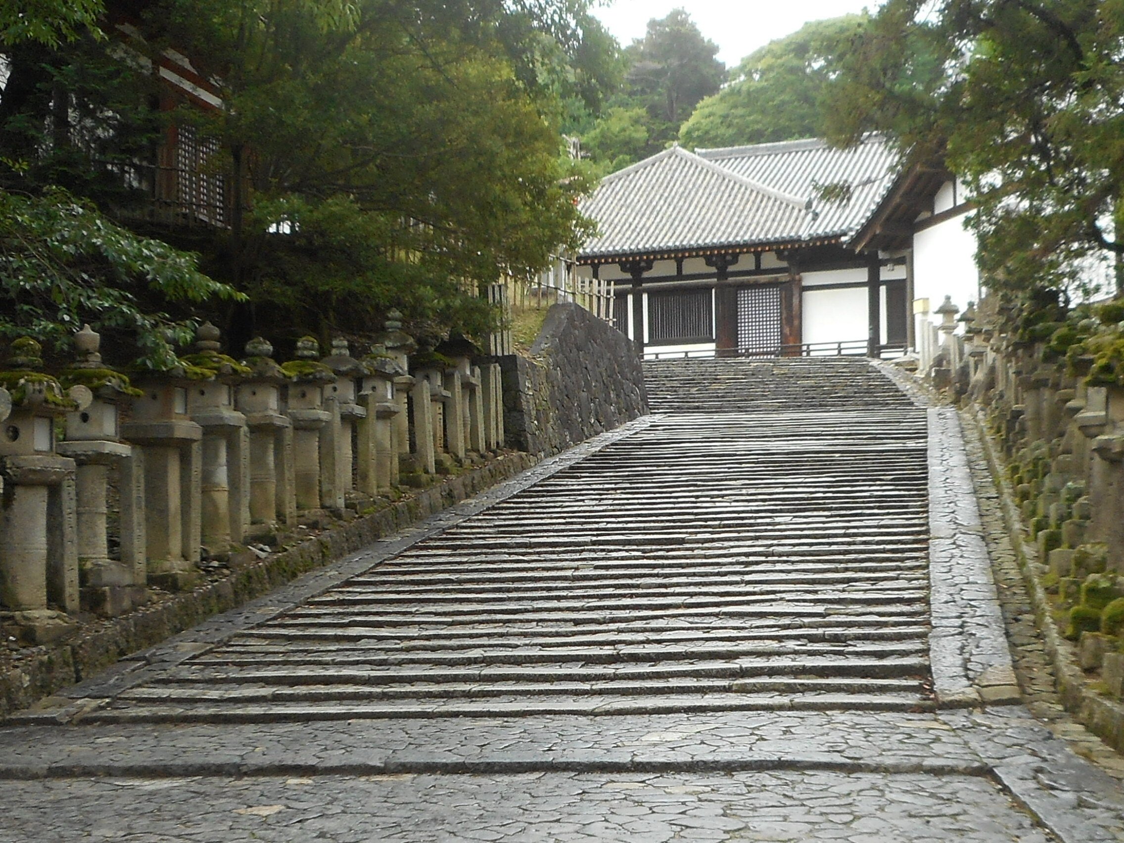 東大寺法華堂 (三月堂) Photo|ART AND MOVIE